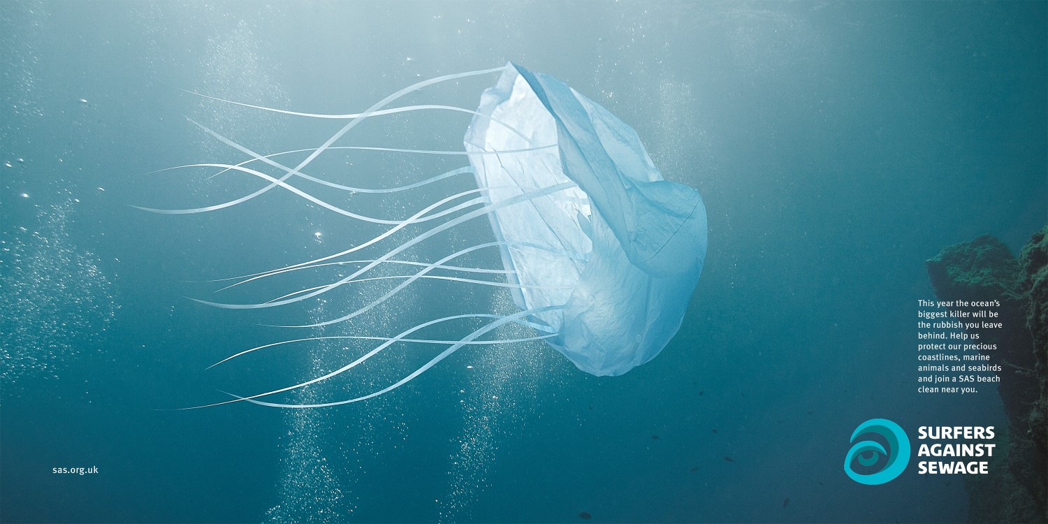 sas-box-jellyfish-2